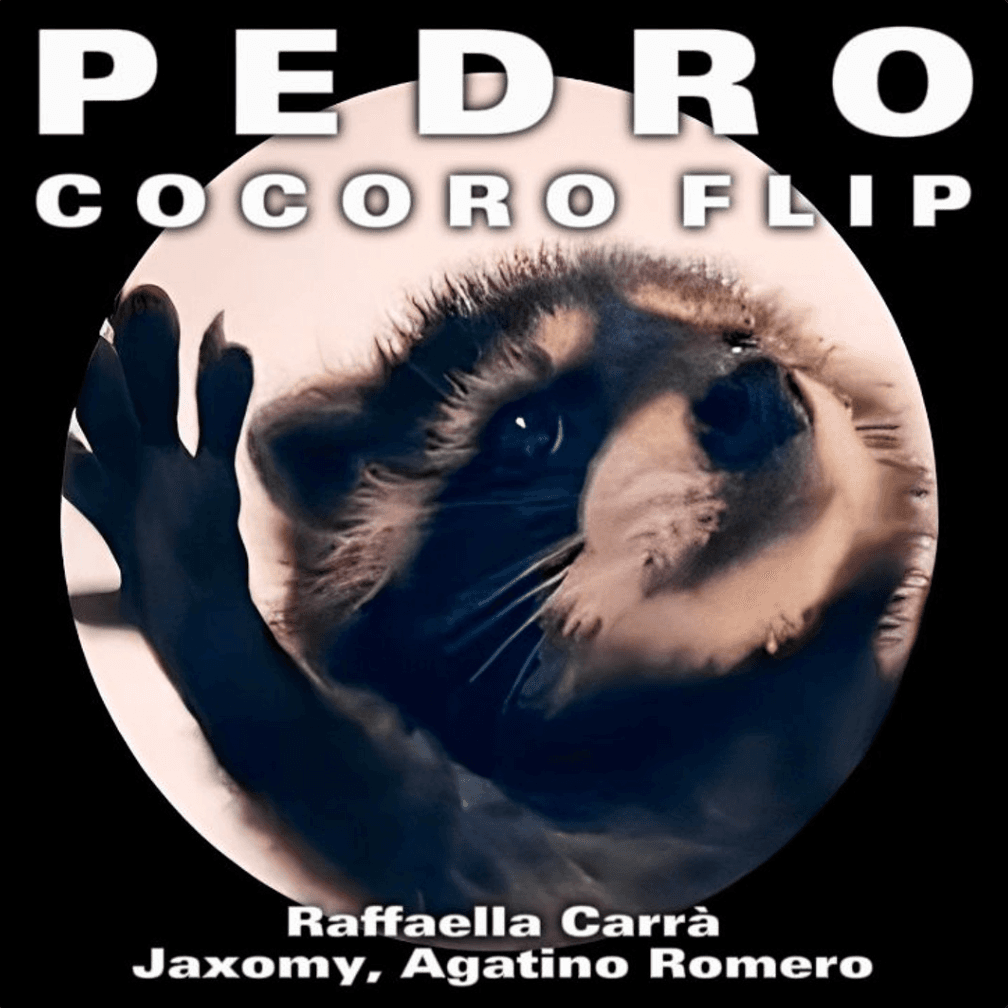 Pedro (COCORO Flip) artwork